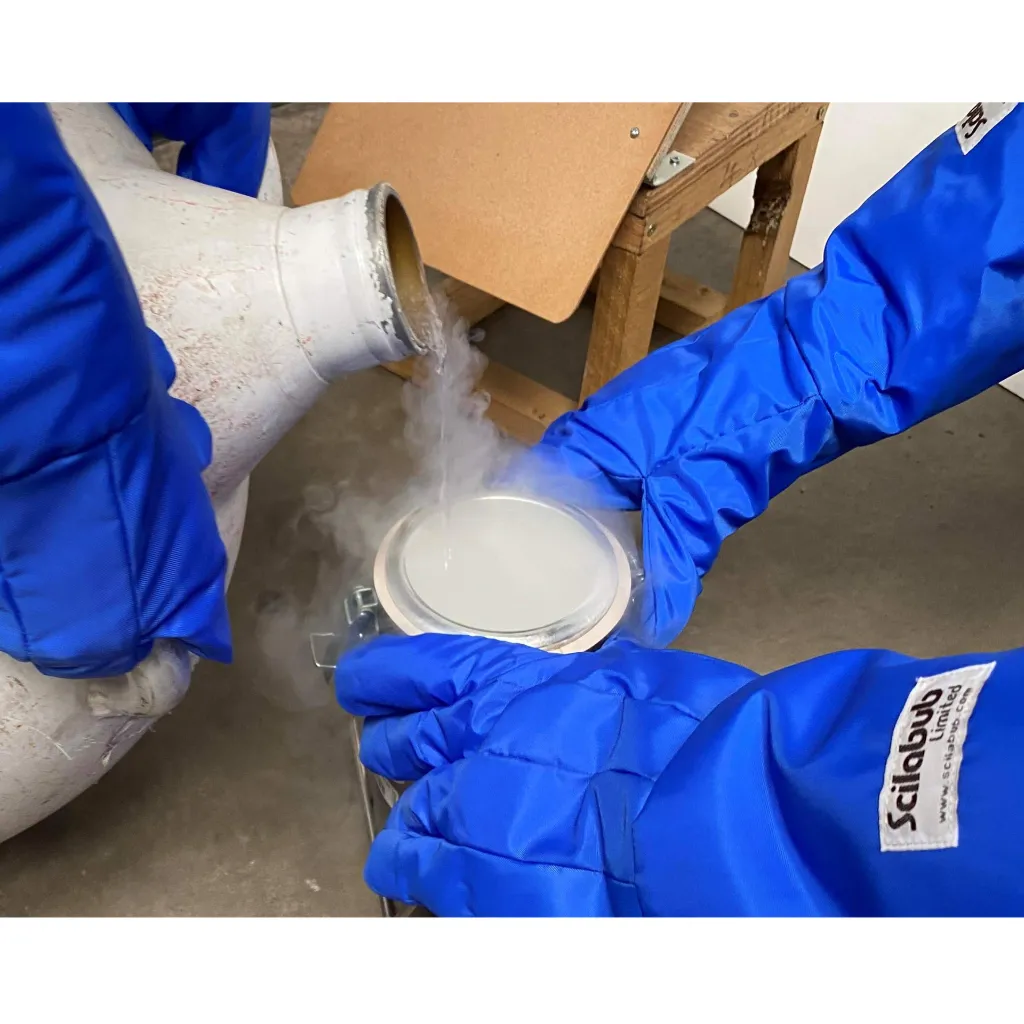 Untitled design (6).webp