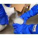 Untitled design (6).webp